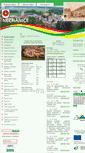 Mobile Screenshot of nechanice.cz